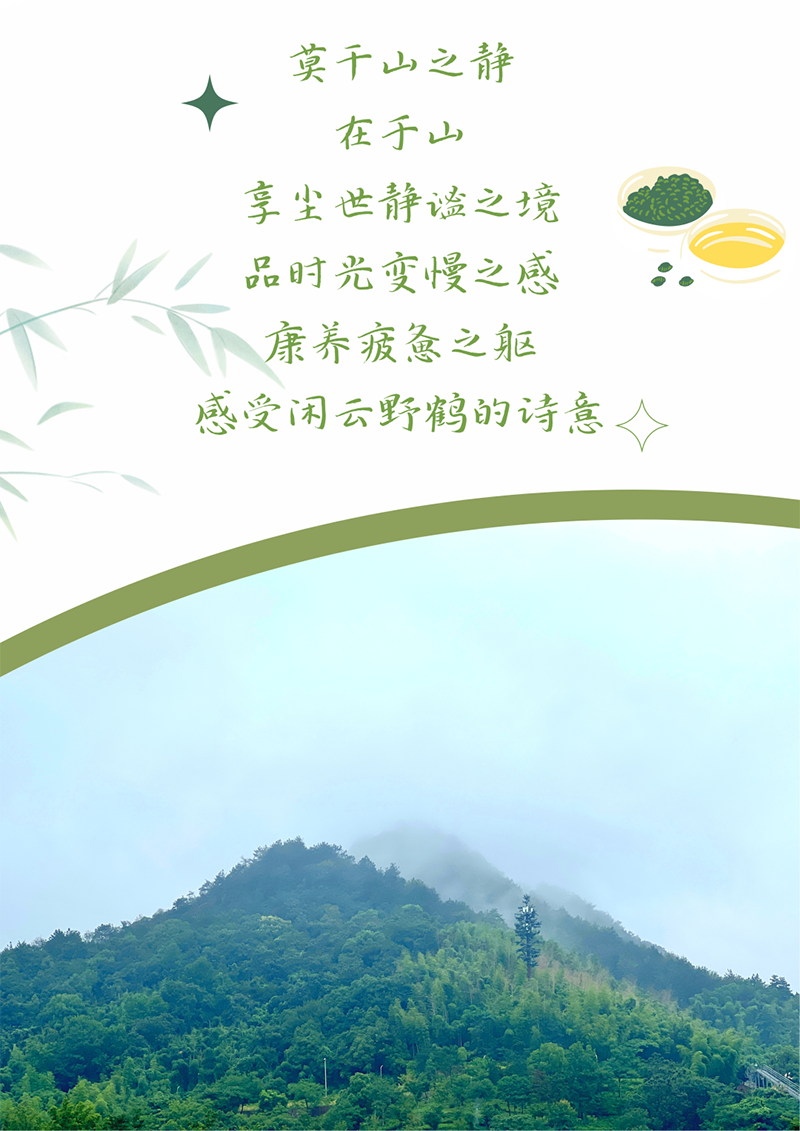 心心念廿 相伴龙八国际 | 与德清相约 贺廿载诞辰