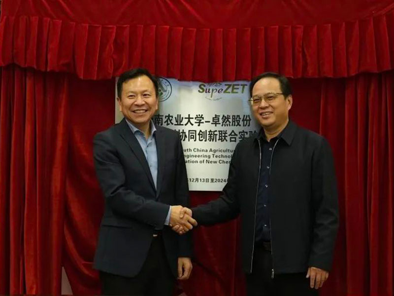 龙八国际股份上市一周年丨阔步前进 筑梦新程